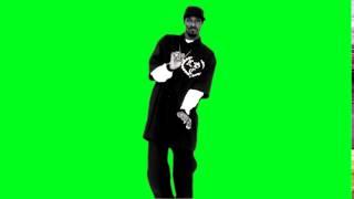 Snoop Dogg “Drop It Like It's Hot“ Dance Greenscreen HD Footage With “Smoke Weed Everyday“ Sound