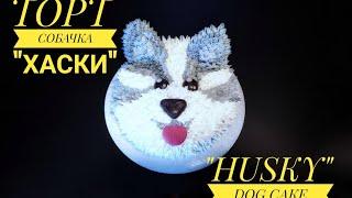 #тортсобачка #тортхаски #dogcake #cakes #торты             ТОРТ СОБАЧКА ХАСКИ.   (HUSKY DOG CAKE.)