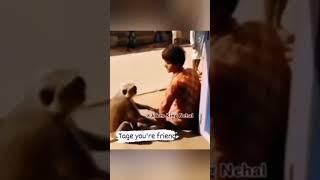 latif bobo sila