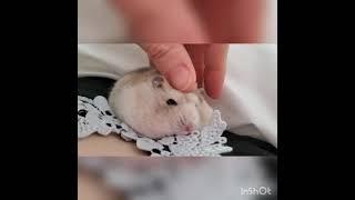 결국 나한테 잠들꺼잖아