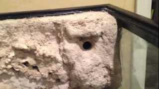 REEF TANK 3d Foam board background how to