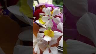 valo lagar valobasa  #flute #love #Amader Poribar