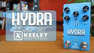 Keeley Hydra Stereo Reverb & Tremolo Pedal In-Depth Walkthrough