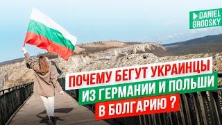 Началось! Украинцы  бегут из Польши и Германии в Болгарию? Что их ждет здесь на самом деле?