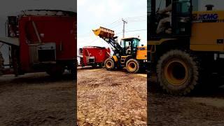 dary farm maastan official