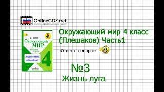 Задание 3 Жизнь луга - Окружающий мир 4 класс (Плешаков А.А.) 1 часть