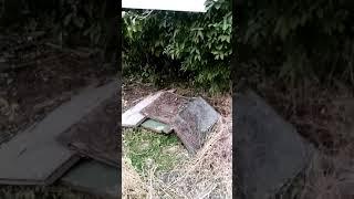 город Новошахтинск,Ростовская область,Новая Соколовка.