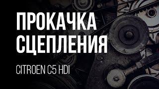 Прокачка сцепления одному! Citroen С5 2,0 HDI