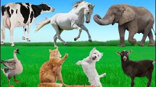 Wild Animal Sounds: Elephant, Sheep, Duck, Cat, Dog, Pig, Horse, Cow - Animal Sounds