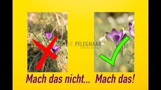 Blumen besser fotografieren und schöner Freistellen.