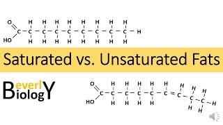 Saturated vs Unsaturated Fats