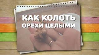 Как колоть орехи целыми - любимый способ Хитрости Жизни