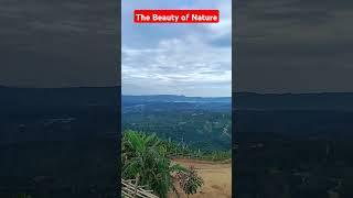 The beauty of Nature   #nature #foryou #4k #islam