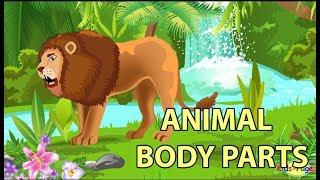 Learn the Animal Body Parts