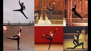 Amazing Bolshoi Basils Over Time 1969 - 2020 Vasiliev, Lavrovsky, Filin, Uvarov, Lantratov, etc