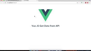 vuejs get data from api