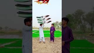 bakra lari bado badi ||#bakramandi #bakraeid2025  #badobadi
