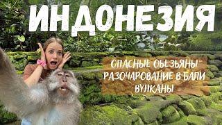 ИНДОНЕЗИЯ  ЗАГАДКИ природы, обезьяны АБЬЮЗЕРЫ, ПРАВДА про БАЛИ от местных! ВСË ПОКА