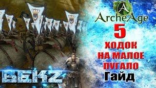 ArcheAge 3.0 ГАЙД: Как правильно складировать паки на маленькое пугало!