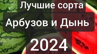 Посадите именно эти сорта Арбузов и Дынь. Вкусные,сочные.#арбузик #семена #огородник #дыня#вкусный