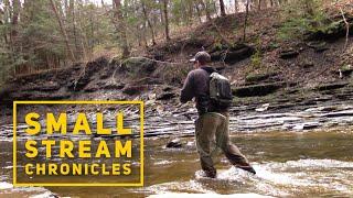 Small Stream Fly Fishing on an AWESOME Budget 1wt Rod