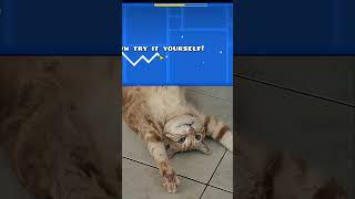 Wave Tutorial  Geometry Dash mewing cat meme #shorts #geometrydash #mewing