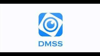 DMSS Setup Guide