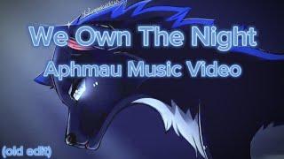 We Own The Night | Aphmau Music Video - With Lyrics (Old Edit)