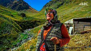 Baş Hemşin Plateau - Keçici Family | Documentary ▫️4K▫️