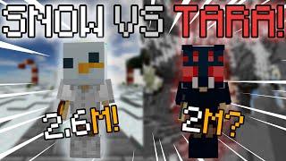 SNOW Minions VS TARANTULA Minions | Which is BETTER? | Hypixel Skyblock