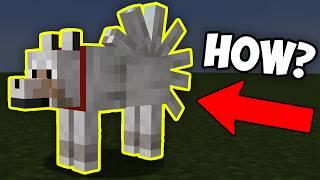 20 Best Kept Minecraft Secrets!