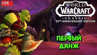 Танкуем первый данж на фреше WoW Classic