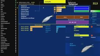 Мини v 6 Видеомануал