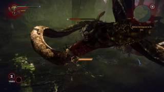 Witcher 2 Kayran Boss fight guide