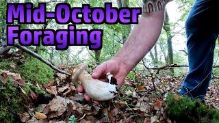 Foraging for Mushrooms and Making Fake Scampi