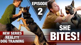 Where to Start with a TOTALLY UNTRAINED DOG: Reality Dog Training Episode 2