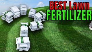 How To Buy THE BEST LAWN FERTILIZER and which fertilizer is best for grass