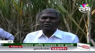 Madhukar Pisal's zero budget sugarcane farming success story