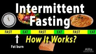 Intermittent Fasting - How it Works? Animation