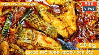 වැව් මාළු රසට උයමු | Lake Fish Curry Sinhala | Malu recipe sinhala