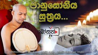 සූත්‍ර දේශනා 2024 - ජානුස්සෝනි සූත්‍රය