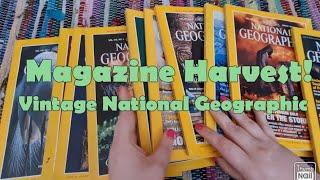 Magazine Harvest | Vintage National Geographic Magazines!! 