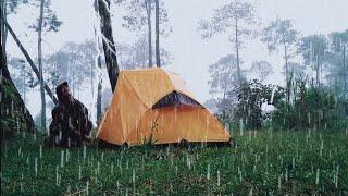 BEST HEAVY RAIN VIDEO 4 - SOLO CAMPING IN HEAVY RAIN WITH POWERFULL THUNDERSTORMS, RAIN SOUND ASMR