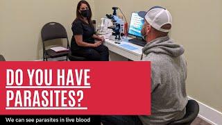 Parasites in Live Blood