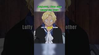 Ace, Luffy... Sabo who yearns for them  #onepiece #ace #luffy