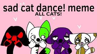 Sad cat dance! Meme (TW slight flashing)