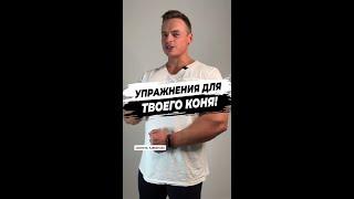 Упражнения для твоего коня!