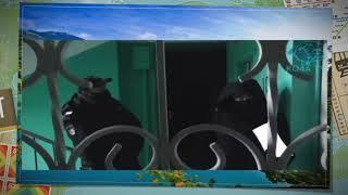 Вы кто такие, я вас не звал...