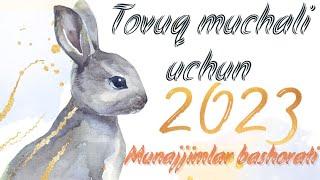 Tovuq muchali uchun Munajjimlar bashorati #2023