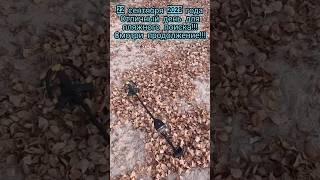 С металлоискателем в парке #metaldetecting #кладоискатель #клад #coin #коп #мд #md #монеты #хабар